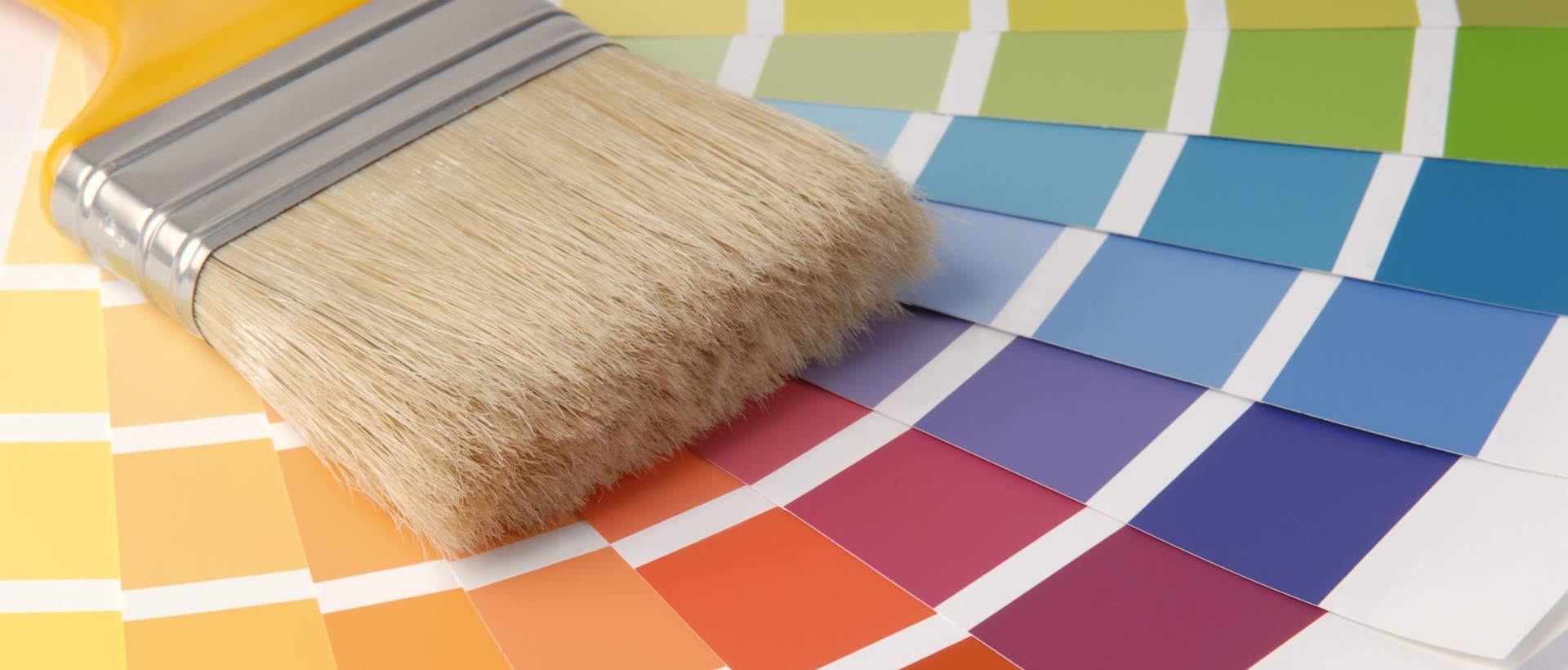 Painter WD18